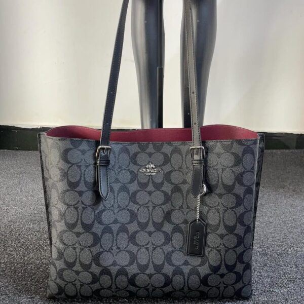 Coach Mollie Tote 25